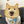 Zhu yizheng's avatar